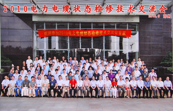 南宫NG28加入2010年电力电缆状态磨练手艺交流会