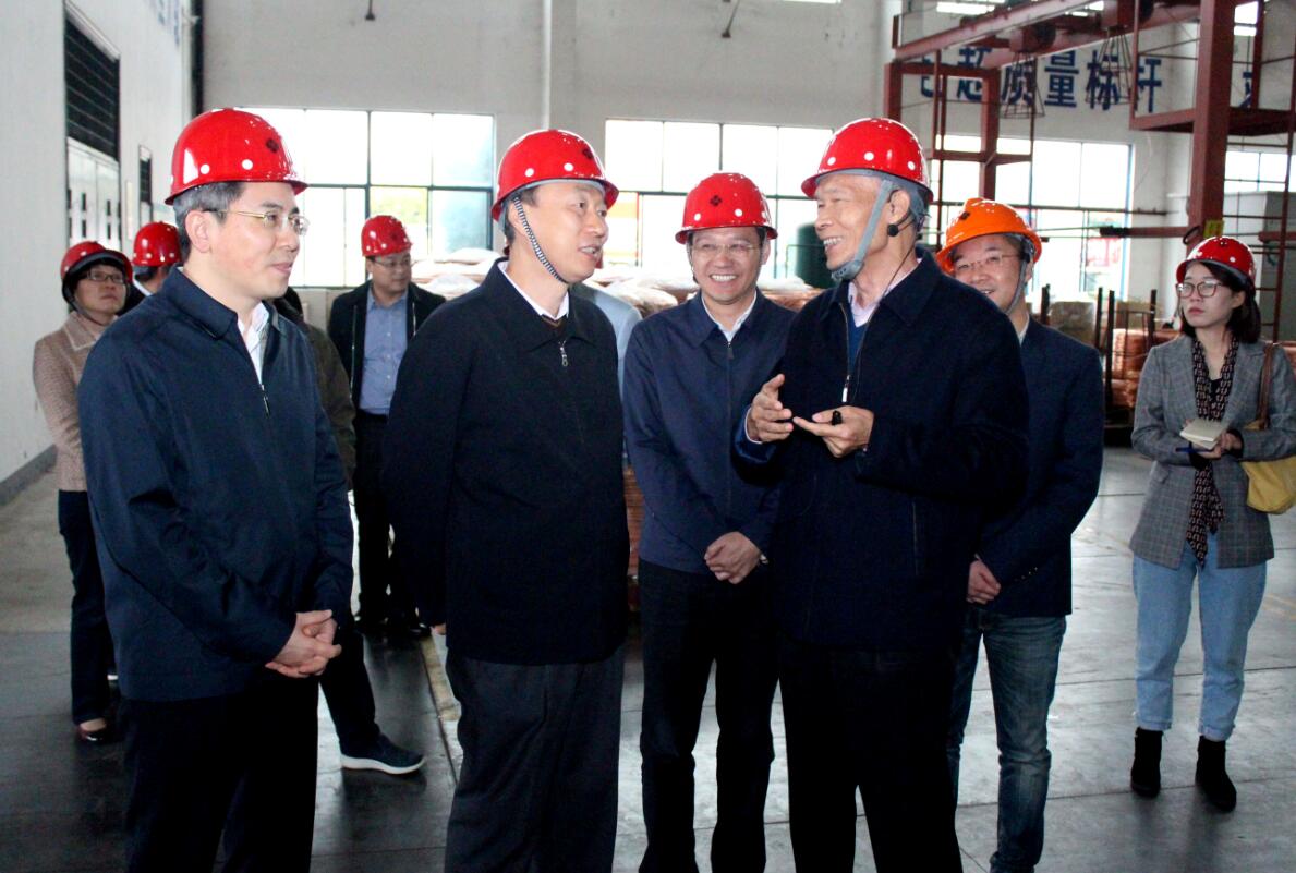 江苏省副省长马秋林一行来南宫NG28电缆调研