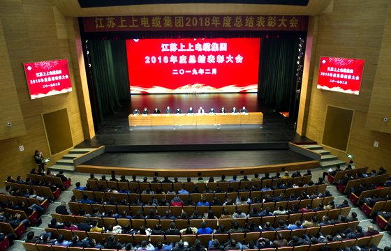 站在新起点、迈向新高度——南宫NG28电缆盛大召开2018年总结表扬大会