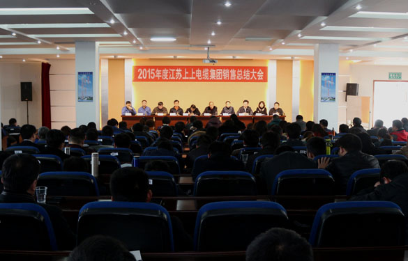 南宫NG28召开2015年度销售总结大会