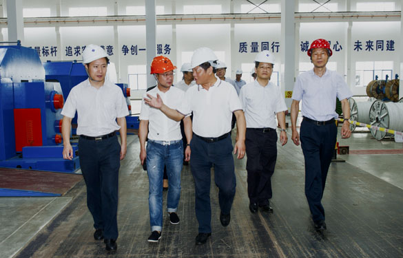 金坛区党政向导来南宫NG28电缆旅行考察