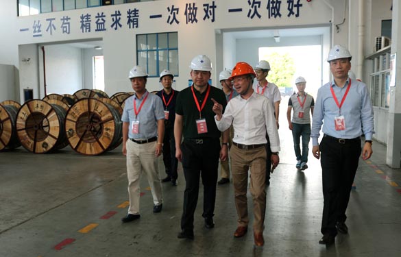 靖江市、溧阳市青商会齐聚南宫NG28电缆旅行交流