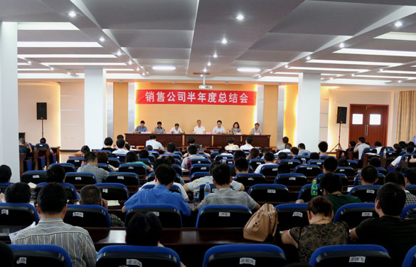 南宫NG28召开2013年销售公司半年度总结会