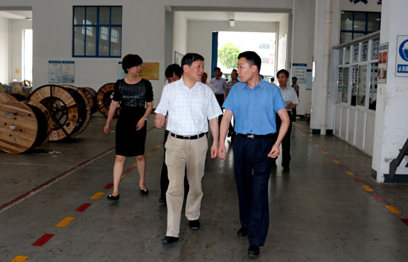 常州市人大向导一行来南宫NG28集团调研