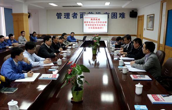 南宫NG28集团顺遂通过国家电网公司专项质量督导组督查