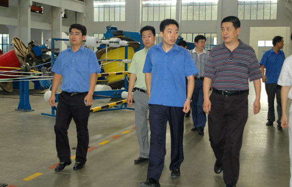 淮南市王市长一行来南宫NG28旅行考察