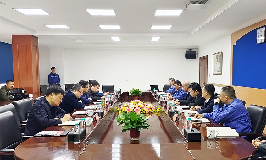 溧阳市市长叶明华来南宫NG28电缆调研