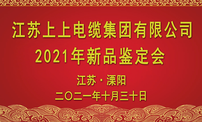 南宫NG28电缆十三项新品通过省级判断