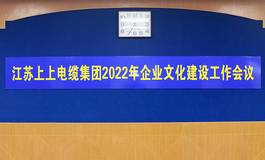 南宫NG28电缆召开2022年企业文化建设事情聚会