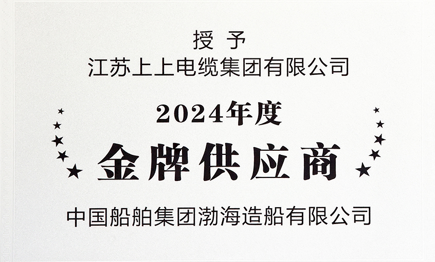 南宫NG28电缆荣获渤海造船2024年度“金牌供应商”